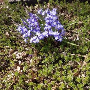 Meet your Posher, Larry